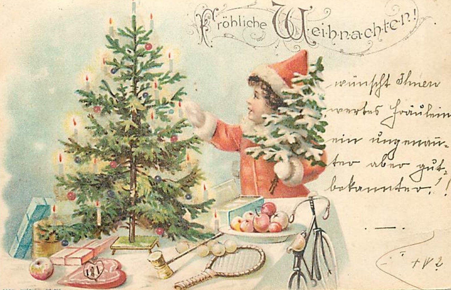 Le Saviez-vous : Les Origines Enchantées du Sapin de Noël